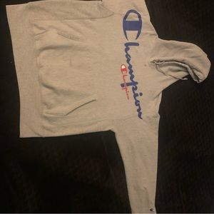 Champion Hoodie (Gray)